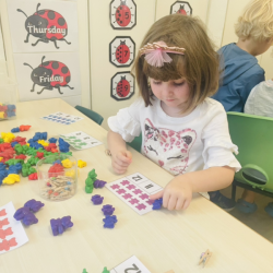 Counting and identifying activity with Clemmie.