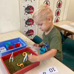 Rowan sorting and counting seeds!