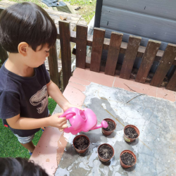 Niko checking in on our seedlings.