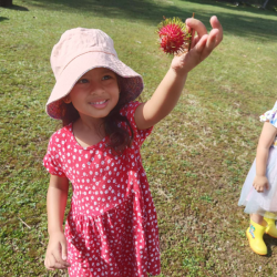 Ruhi found a rambutan, probably dropped by a friendly bird.