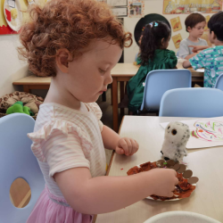 Tilly made a 'smart cookie' for her owl. 