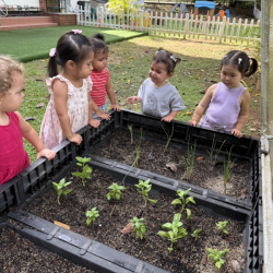 Checking on our plants!