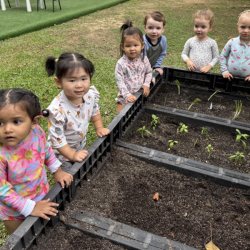 Checking on our plants