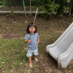 Lulu found a big stick in the garden!