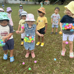 Dragonflies having a blast with their shake it off game.