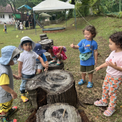 Dragonflies pretend cooking in the garden. 