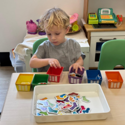 Kingston enjoying sorting activity.