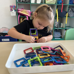 Roux enjoying building a castle with the magnets. 