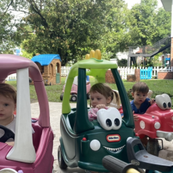 Traffic jam in the school garden!