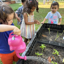 Cru helping to water our seedlings!