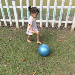 Laleh rounding up every ball she can find in the yard! 😂 