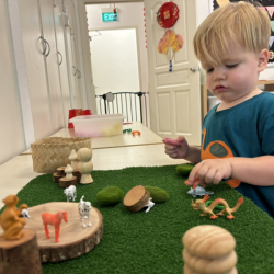 Max lining up the zodiac animals! His favourite being the dragon!