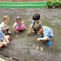 Exploring patterns in nature.