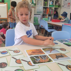 Focused and engaged -Sol, explores animal matching card activity.