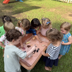 Muddy farm animals!