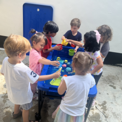 Dragonflies enjoying their water table. 