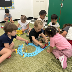 Dragonflies having fun with our new train track.