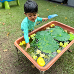 Kai catching rubber ducks.