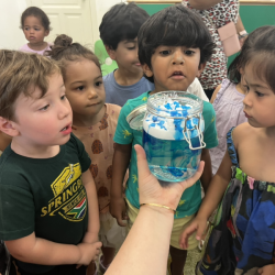 Rain cloud experiment- a fun way to learn about cloud and rain formation. 