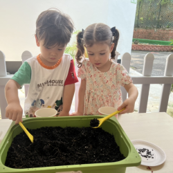 Xiang and Klaudia planting  sunflower seeds. 