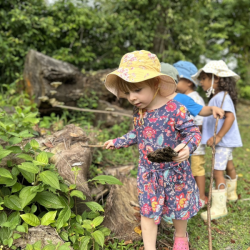 Exploring nature