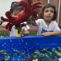No crabby moods here, just crabby fun with Laleh! 🦀 