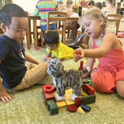 Ei and Izzy made a castle using wooden blocks for Izzy’s kitten.