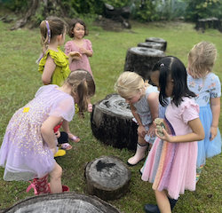 Busy Bee girls spotted a millipede on the log.