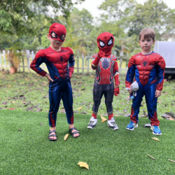 Busy bees spider man dress up .