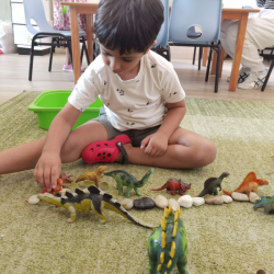 Kanha enjoys lining up the dinosaurs