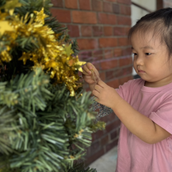 Annie putting up her ornament!