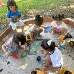 Butterflies having fun in the sand pit!