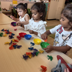 Ellie, Imaan and Sara sorting out frogs by colour!