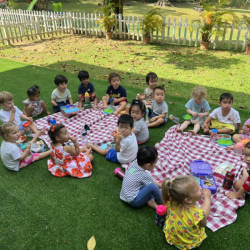 Picnic in the garden with the sunbirds!