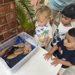 Kingston, Aarav and Kavi checking in on our baby squirrel! 🐿️.