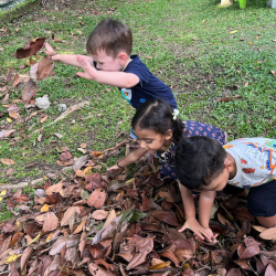 Luca, Imaan and Kavi having so much fun with the leaves!