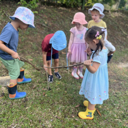 Busy bees and Dragonflies found a beetle in the garden. 