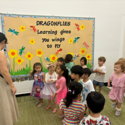 Dragonflies busy practising their Christmas sing-along songs. 