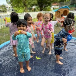 Dragonflies enjoying the new water play activity. 