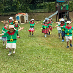 dragonflies running freely in the garden showing off their Christmas throw-shirts. 