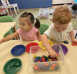 Thalia and Sebby were sorting by colour.