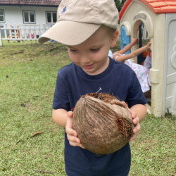 Leo found a coconut
