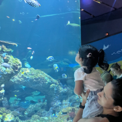 Kai spotting the different fishes in the aquarium!