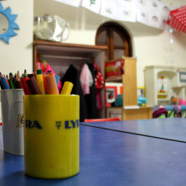 Study Area