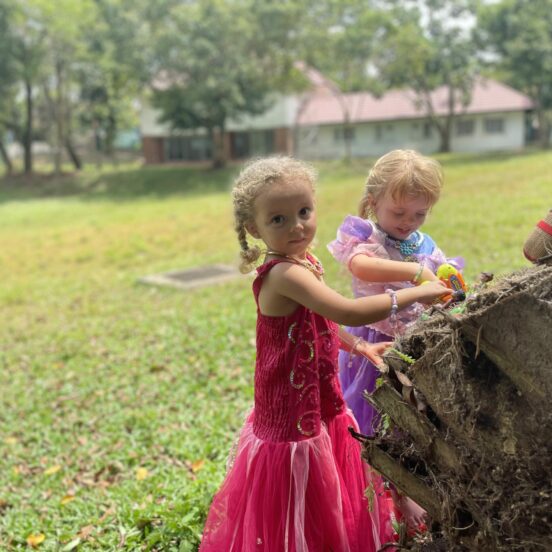 Rain Trees International Kindergrten olland village singapore huge garden