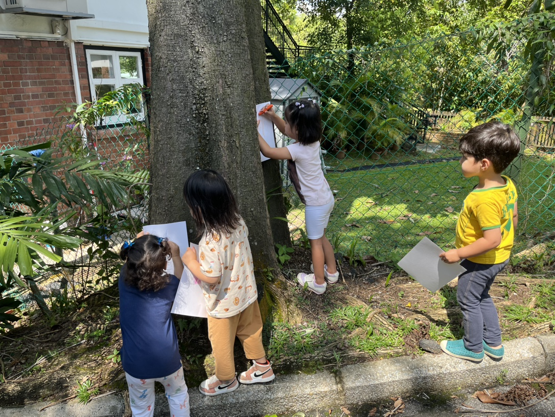 Rain Trees Outdoor Learning Space